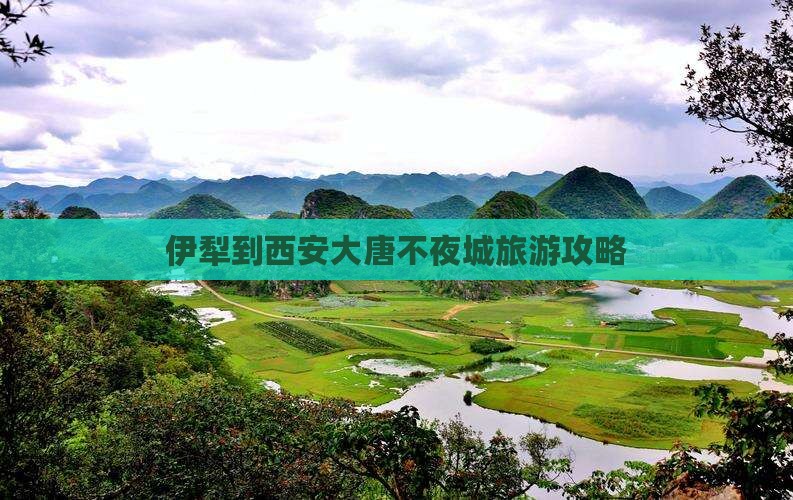 伊犁到西安大唐不夜城景点