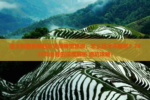 遵义到西安陕西历史博物馆旅游