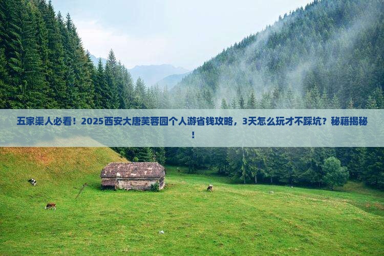 五家渠去西安大唐芙蓉园个人游