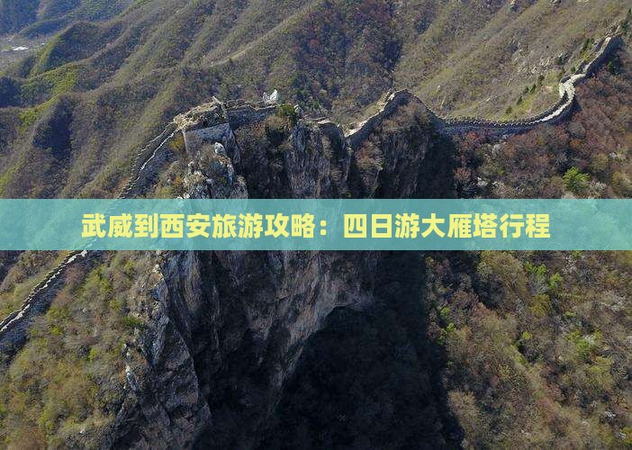 武威到西安大雁塔四日游