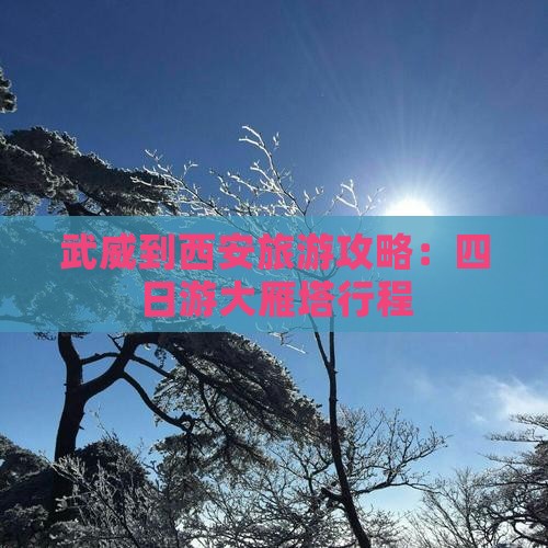 武威到西安大雁塔四日游