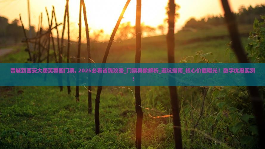 晋城到西安大唐芙蓉园门票
