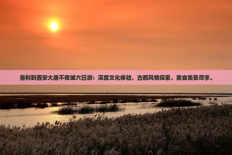垦利到西安大唐不夜城六日游