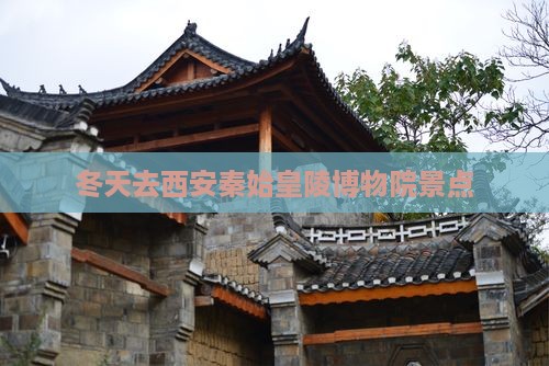 冬天去西安秦始皇帝陵博物院景点