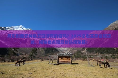丹东到西安钟楼五日游