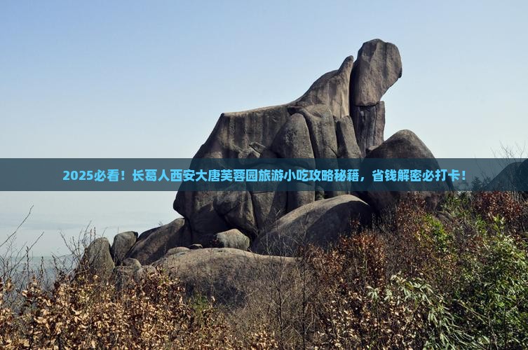 长葛到西安大唐芙蓉园旅游小吃