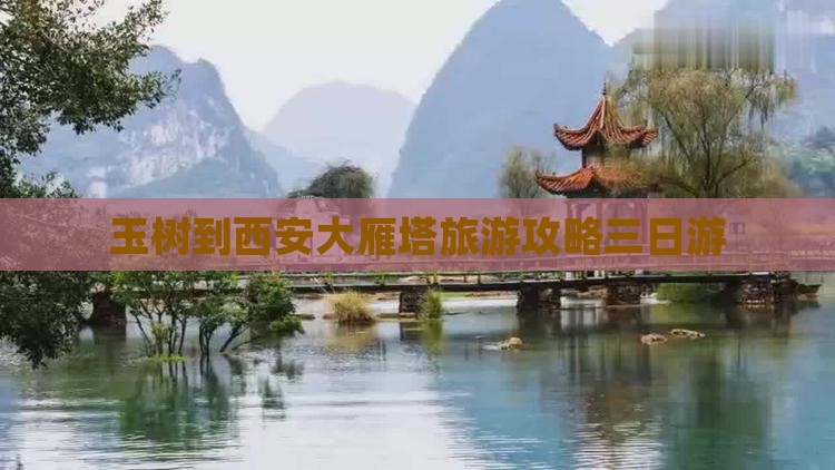玉树到西安大雁塔三日游