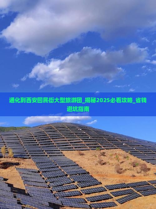 通化到西安回民街大型旅游团