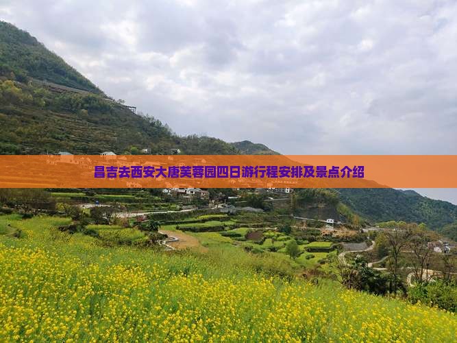 昌吉去西安大唐芙蓉园四日游