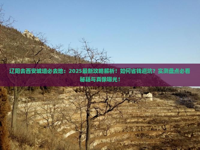 辽阳去西安城墙必去地