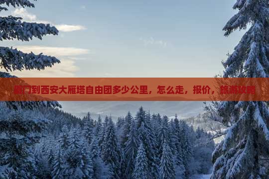 厦门到西安大雁塔自由团