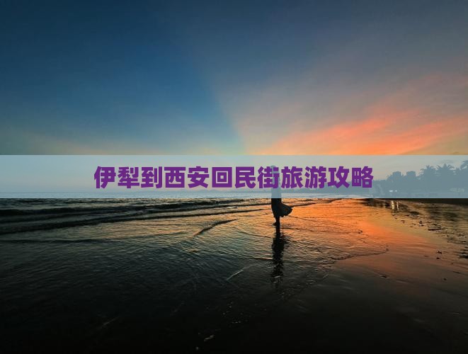 伊犁哈萨克到西安回民街攻略