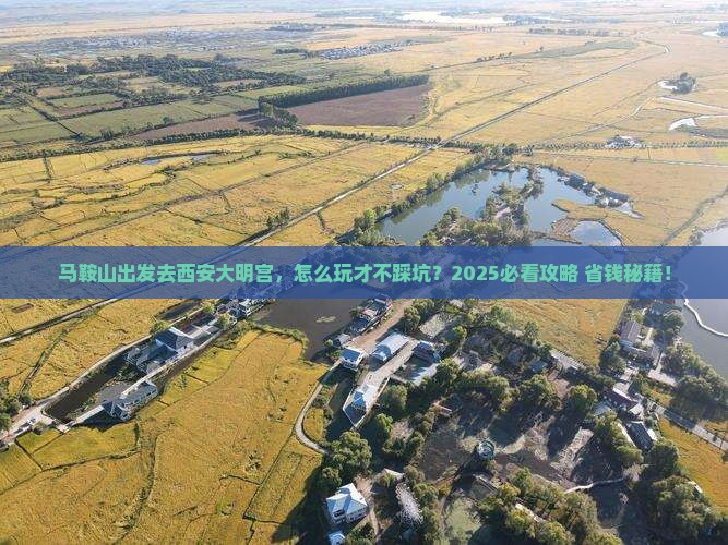 马鞍山到西安大明宫国家遗址公园旅行社