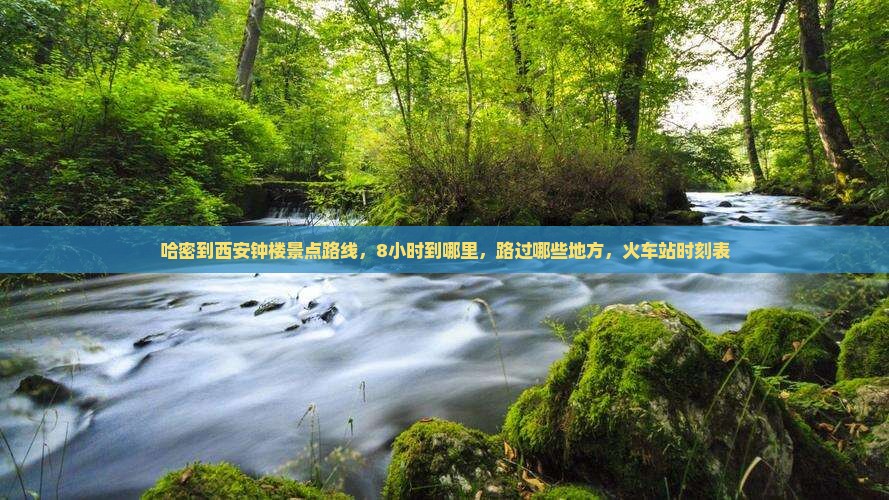 哈密到西安钟楼景点