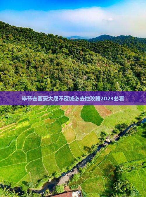 毕节去西安大唐不夜城必去地