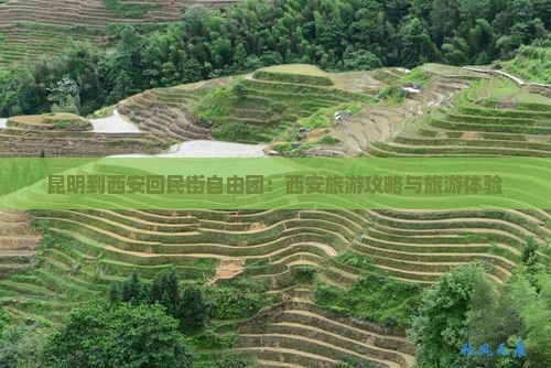 昆明到西安回民街自由团