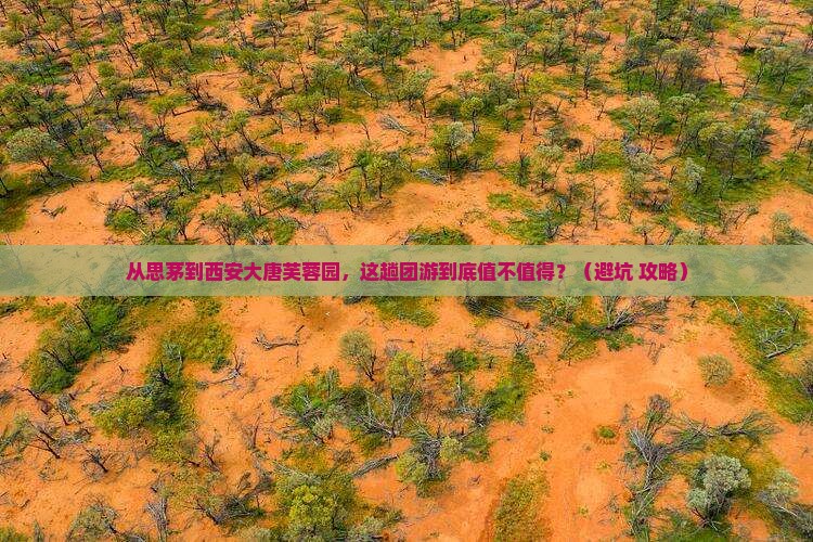 思茅到西安大唐芙蓉园团体旅游