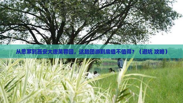思茅到西安大唐芙蓉园团体旅游