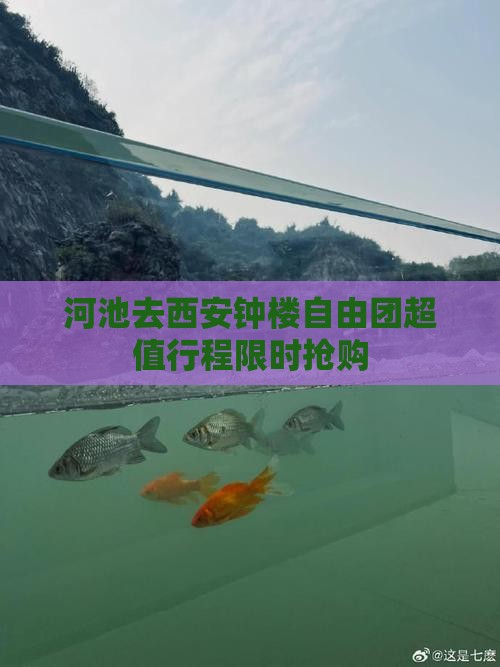 河池去西安钟楼自由团