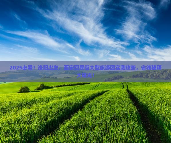 洛阳去西安回民街大型旅游团
