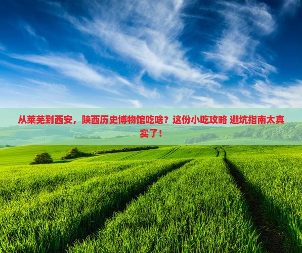 莱芜到西安陕西历史博物馆旅游小吃