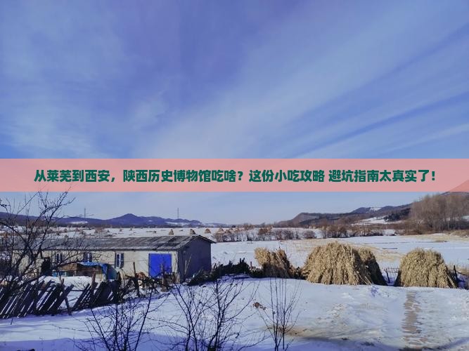 莱芜到西安陕西历史博物馆旅游小吃