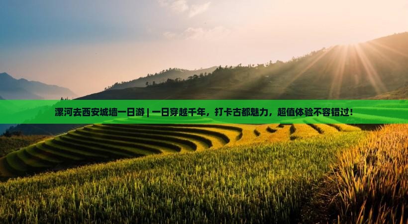 漯河去西安城墙一日游