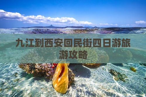 九江到西安回民街四日游