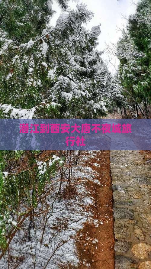 潜江到西安大唐不夜城旅行社
