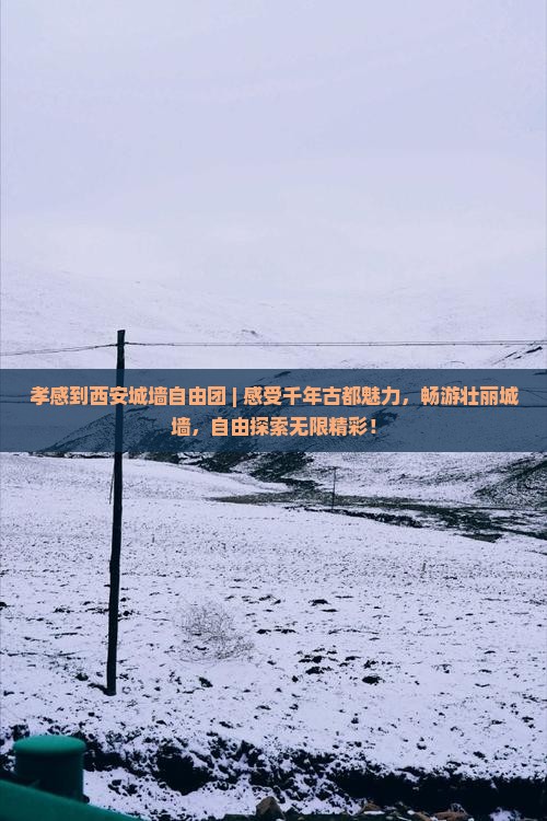 孝感到西安城墙自由团