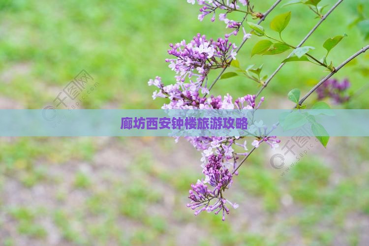 廊坊去西安钟楼门票