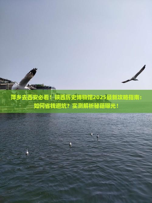 萍乡去西安陕西历史博物馆旅游