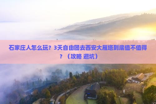 石家庄去西安大雁塔自由团