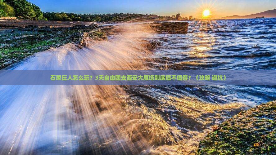 石家庄去西安大雁塔自由团