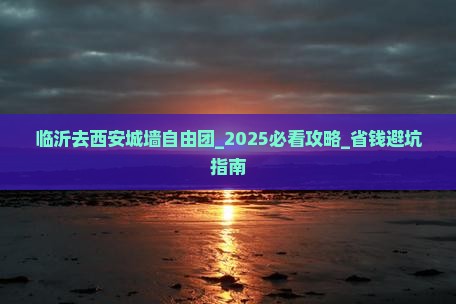 临沂去西安城墙自由团