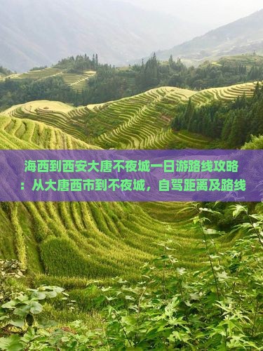 海西到西安大唐不夜城一日游