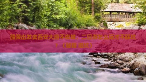 醴陵去西安大唐不夜城二日游