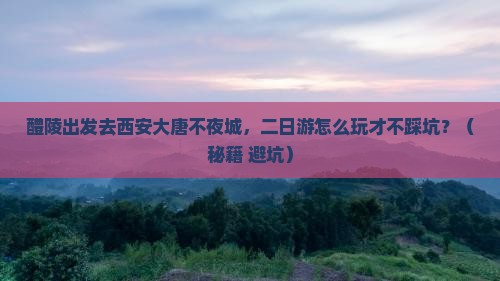 醴陵去西安大唐不夜城二日游