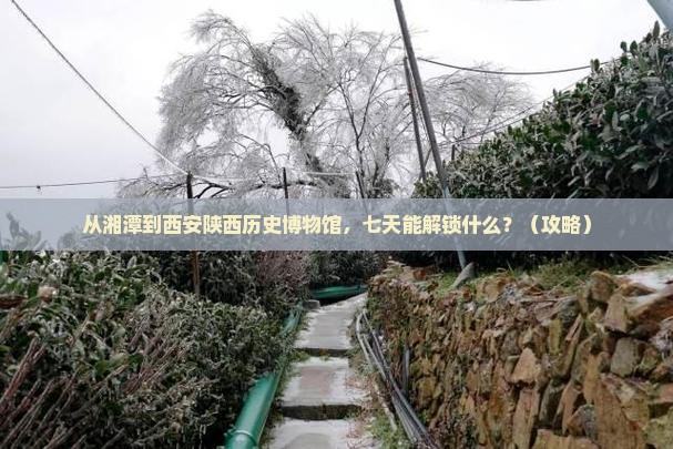 湘潭到西安陕西历史博物馆七日游 湘潭到西安陕西历史博物馆七日游