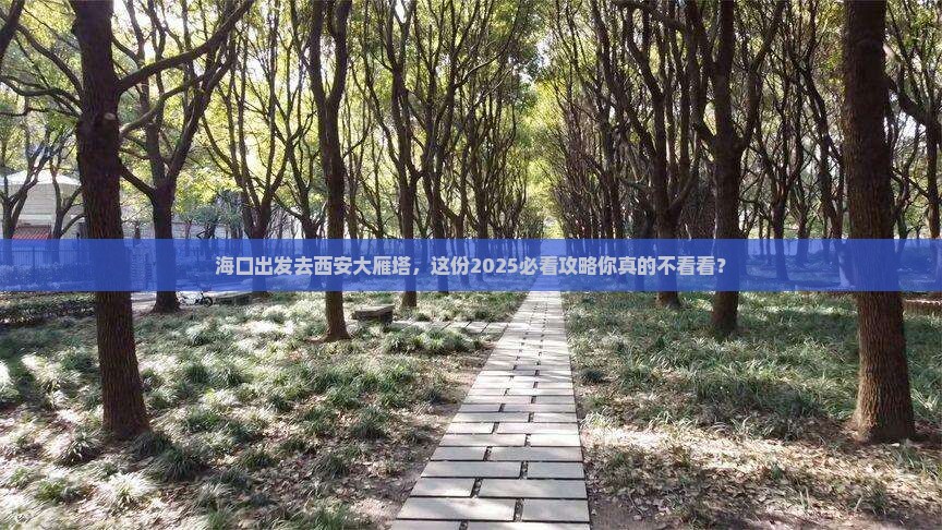 海口去西安大雁塔个人游
