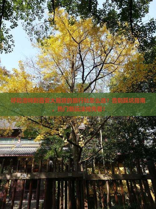 呼和浩特到西安大雁塔旅行社 呼和浩特到西安大雁塔旅行社