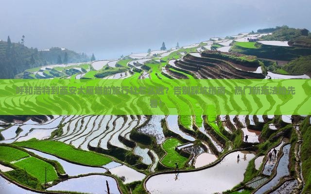 呼和浩特到西安大雁塔旅行社 呼和浩特到西安大雁塔旅行社
