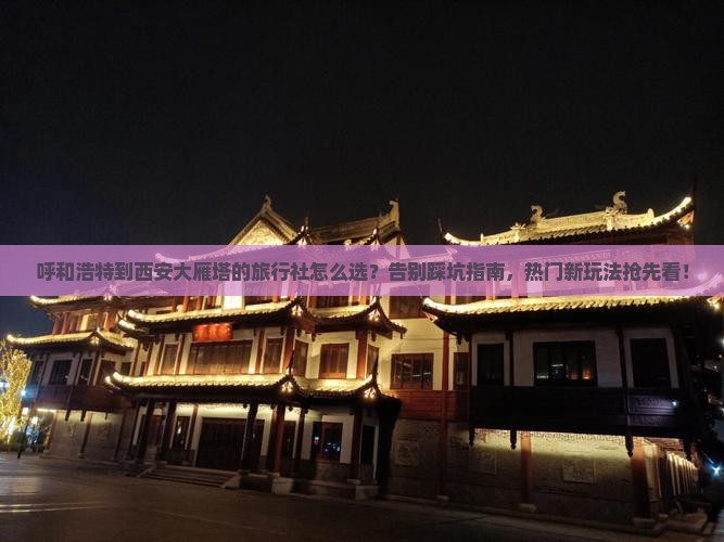 呼和浩特到西安大雁塔旅行社 呼和浩特到西安大雁塔旅行社