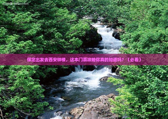 保定到西安钟楼门票 保定到西安钟楼门票