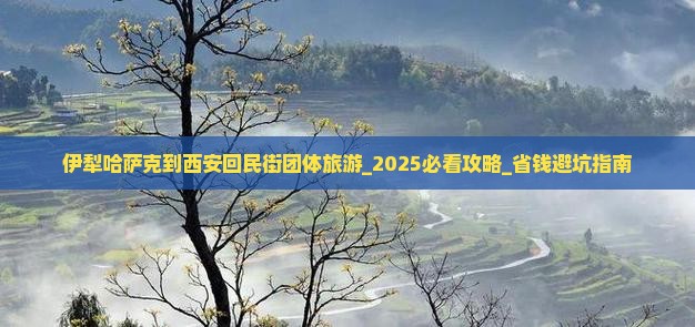 伊犁哈萨克到西安回民街团体旅游