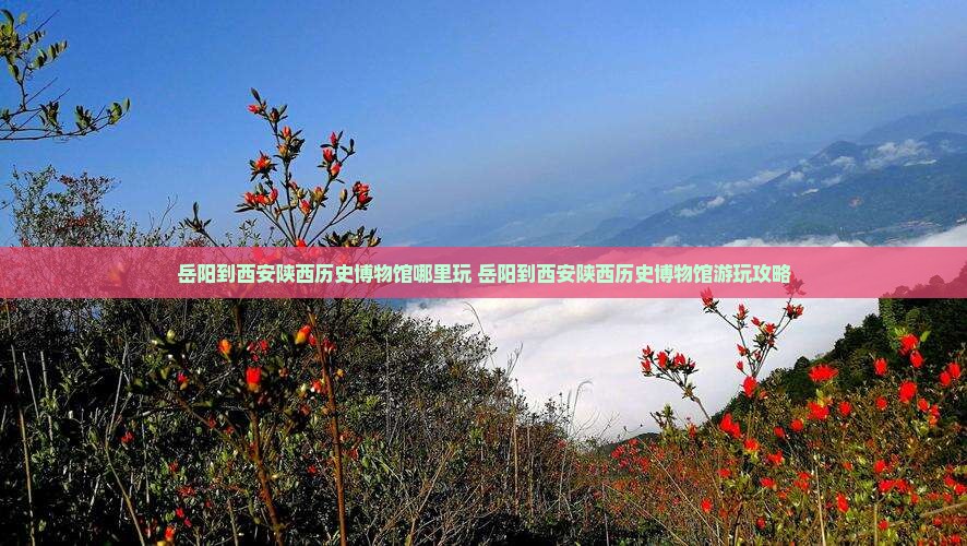 岳阳到西安陕西历史博物馆哪里玩