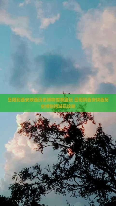 岳阳到西安陕西历史博物馆哪里玩