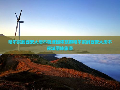 哈尔滨到西安大唐不夜城团体旅游