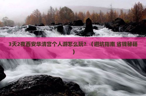 来宾去西安华清宫个人游