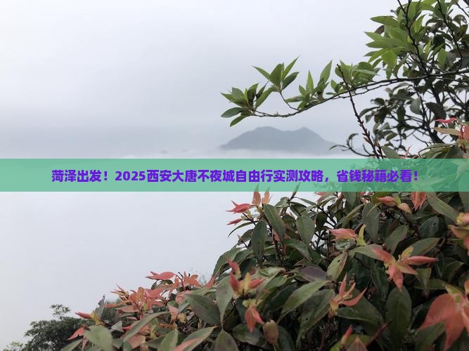 菏泽到西安大唐不夜城自由团